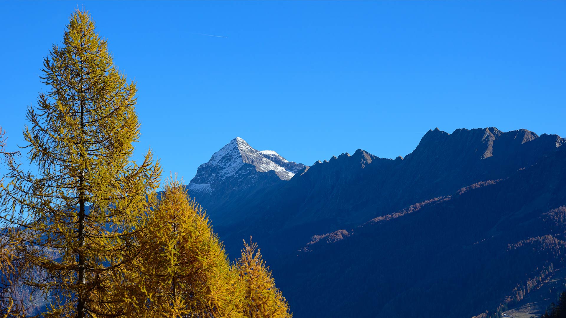 alta via della Valmalenco