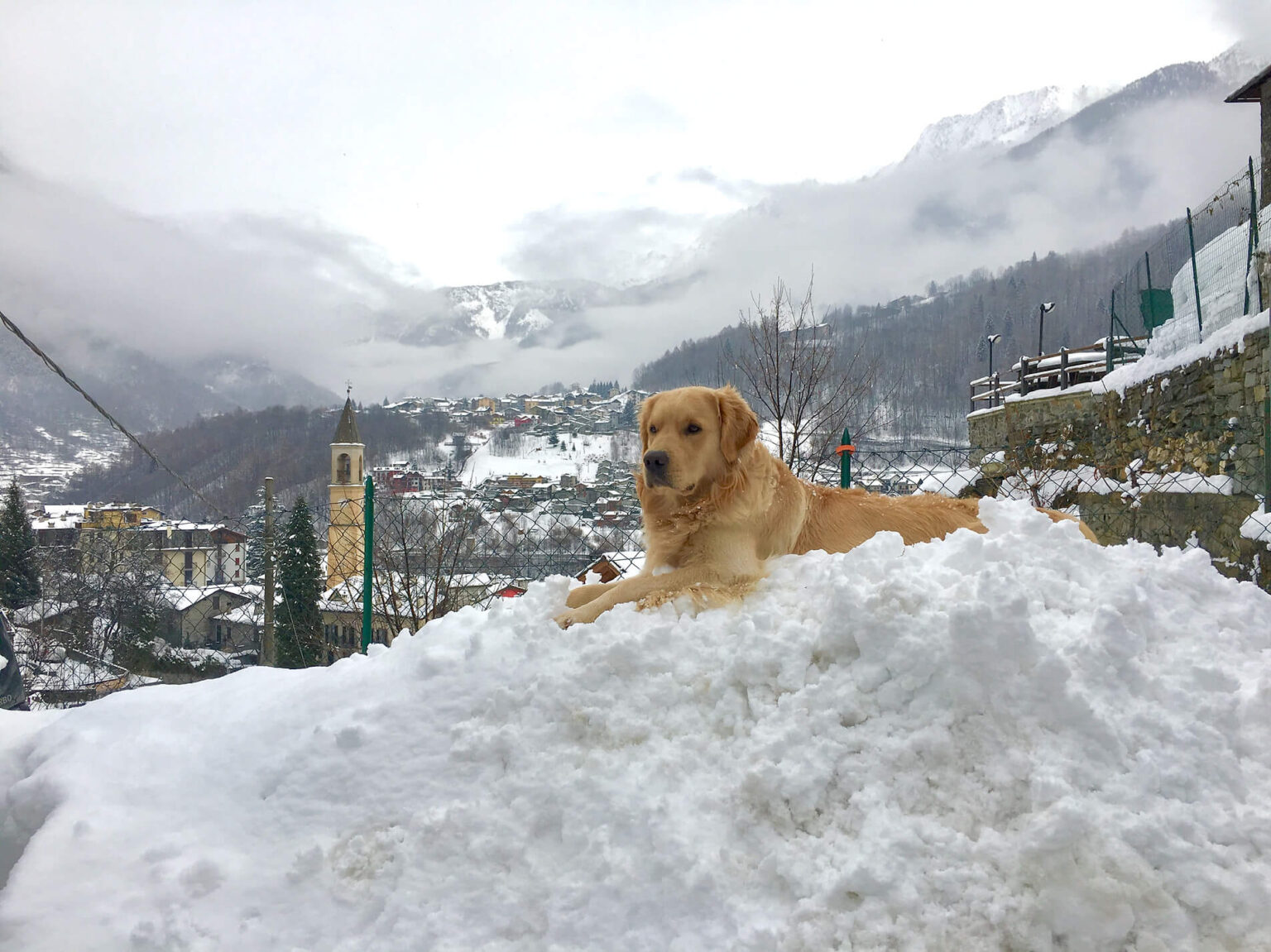 vacanze invernali in Valmalenco con i cani
